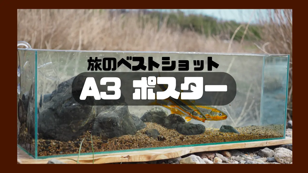 A3 ポスター 1枚のサムネイル