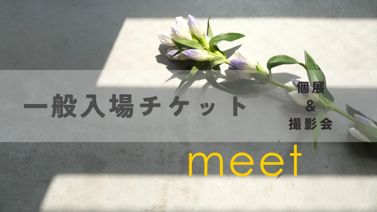 『meet』一般入場チケットのサムネイル