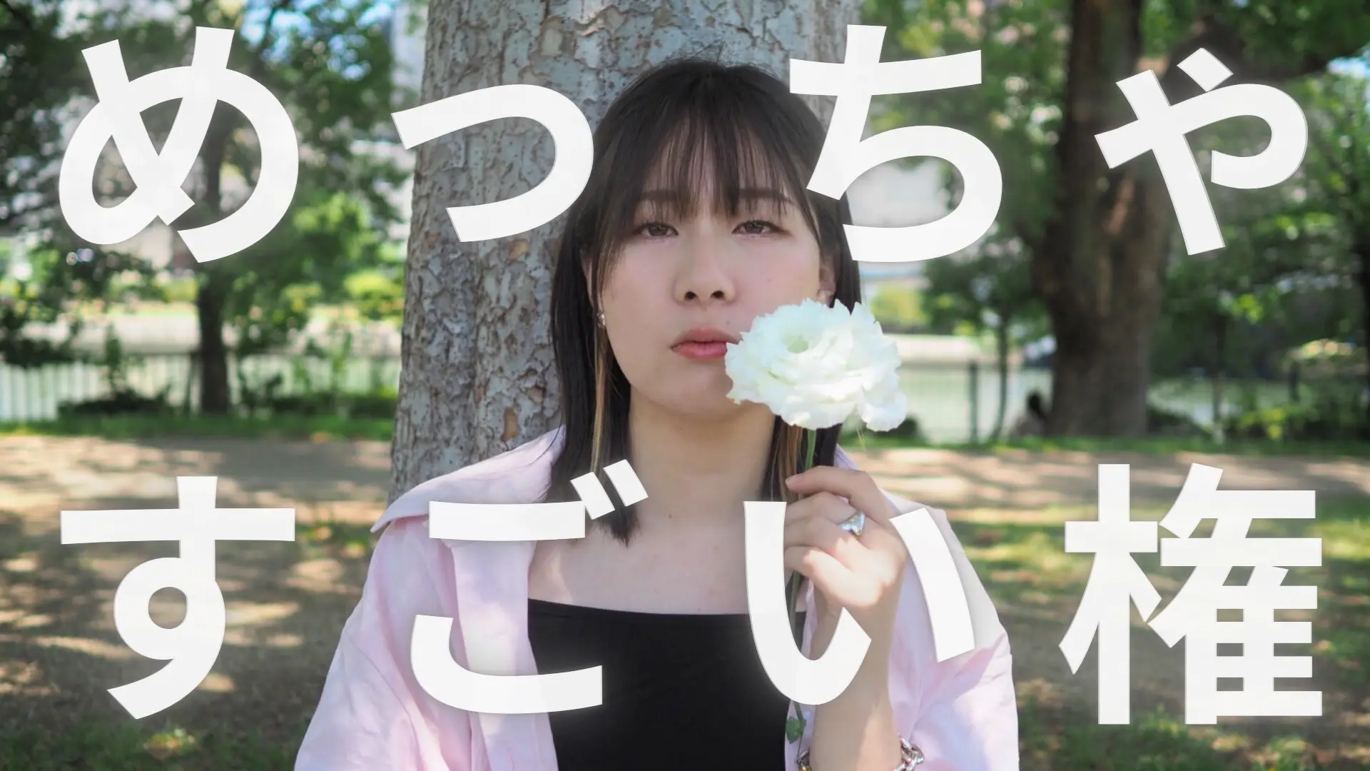 めっちゃすごい権のサムネイル